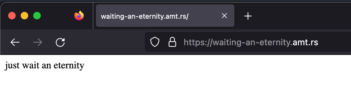 Captura de pantalla del inicio del reto, una web con el contenido 'just wait an eternity'