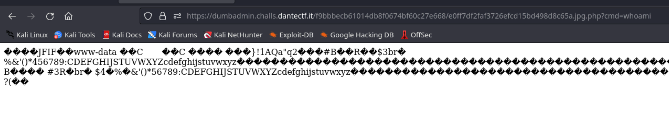 Imagen con caracteres no imprimibles de la "imagen" y el resultado del whoami
